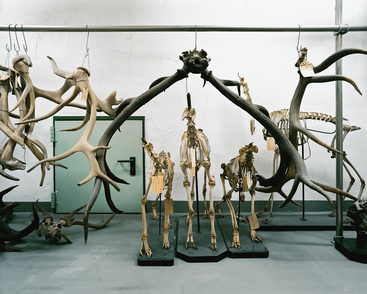 Skeletons in the closet – Klaus Pichler