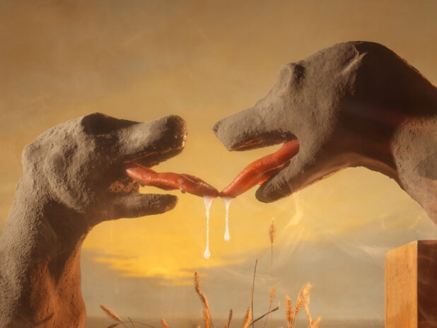 Fox Heads Latex Tongues Saliva_2